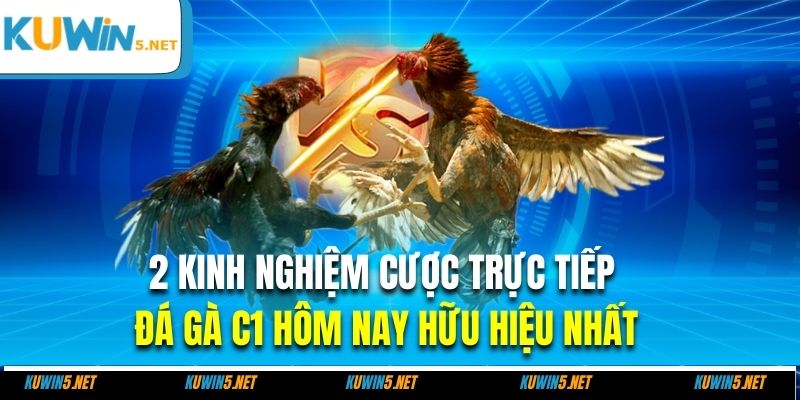 2 kinh nghiệm cược trực tiếp đá gà C1 hôm nay hữu hiệu nhất