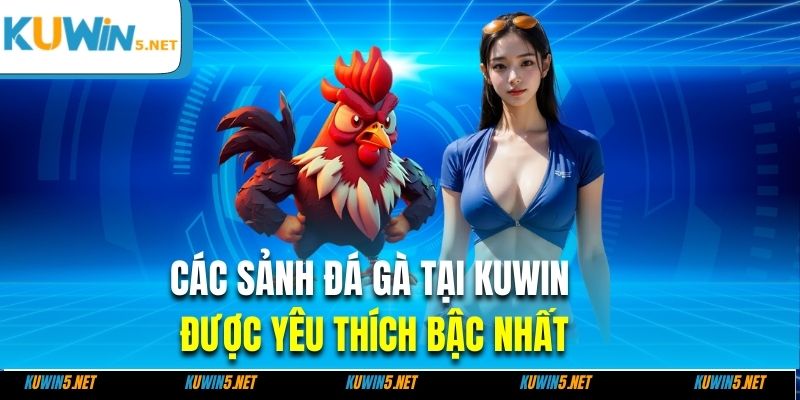 Các sảnh đá gà tại Kuwin được yêu thích bậc nhất