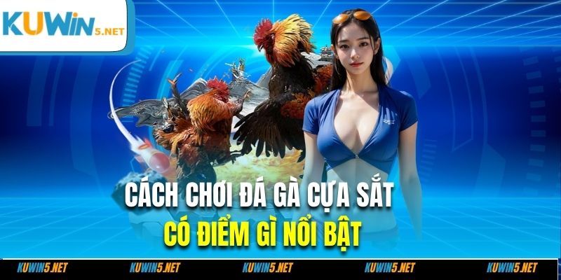 Cách chơi đá gà cựa sắt có điểm gì nổi bật