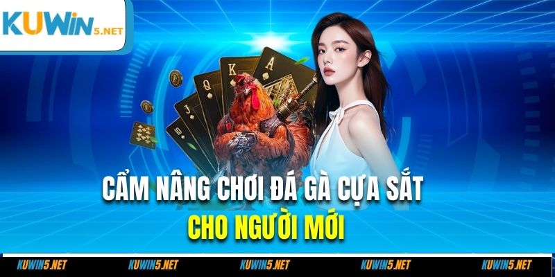 Cẩm nang chơi đá gà cựa sắt cho người mới
