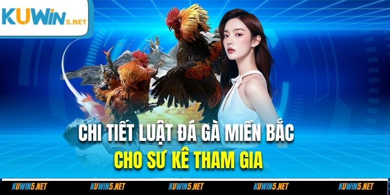 Chi tiết luật đá gà miền bắc cho sư kê tham gia