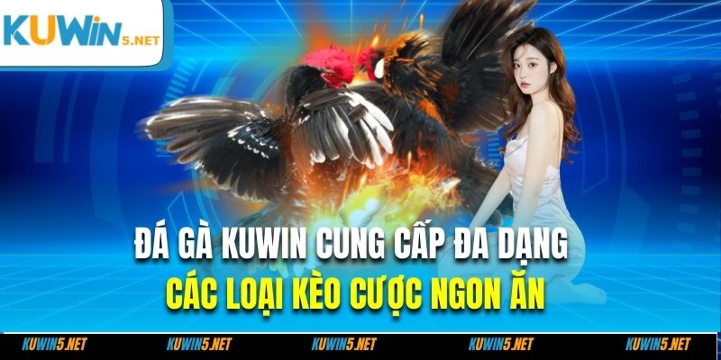 Đá gà Kuwin cung cấp đa dạng các loại kèo cược ngon ăn