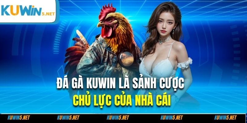 Đá gà Kuwin là sảnh cược chủ lực của nhà cái