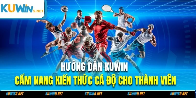 Các mục đáng lưu ý trong hướng dẫn Kuwin