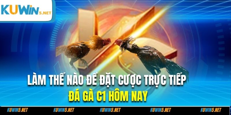 Làm thế nào để đặt cược trực tiếp đá gà C1 hôm nay