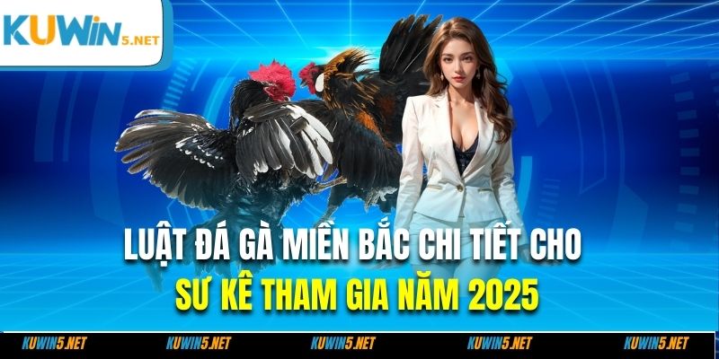 Luật Đá Gà Miền Bắc Chi Tiết Cho Sư Kê Tham Gia Năm 2025