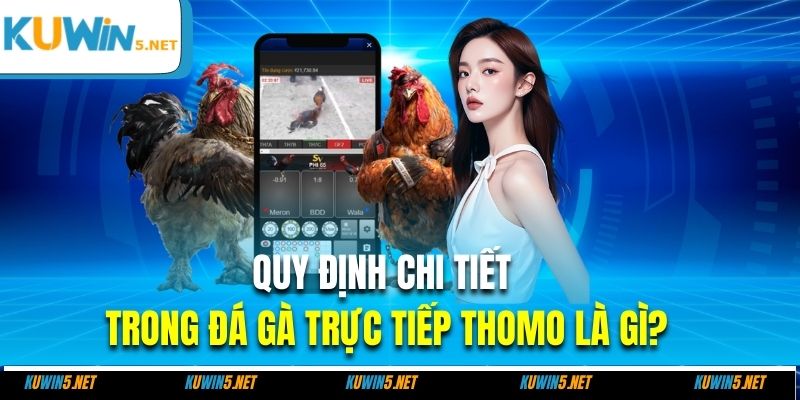 Quy định chi tiết trong đá gà trực tiếp thomo là gì?