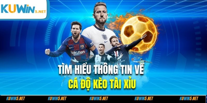 Tìm hiểu thông tin về cá độ kèo tài xỉu