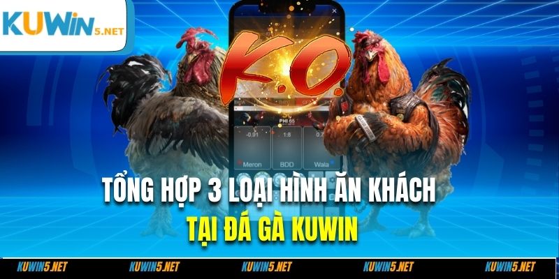 Tổng hợp 3 loại hình ăn khách tại đá gà Kuwin