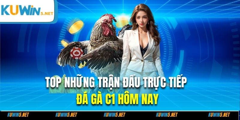 TOP những trận đấu trực tiếp đá gà C1 hôm nay