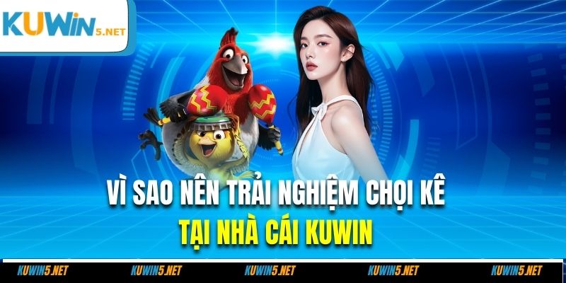 VÌ sao nên trải nghiệm chọi kê tại nhà cái Kuwin